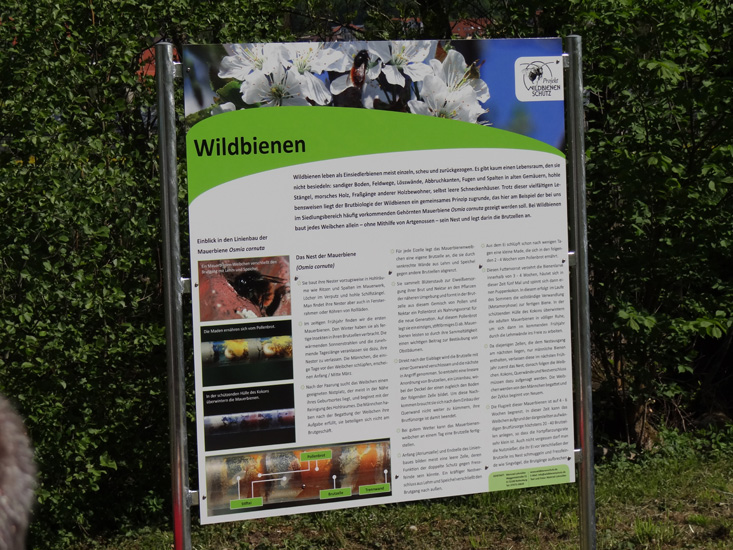 apfelbluetenfest-bad-ditzenbach-165.jpg