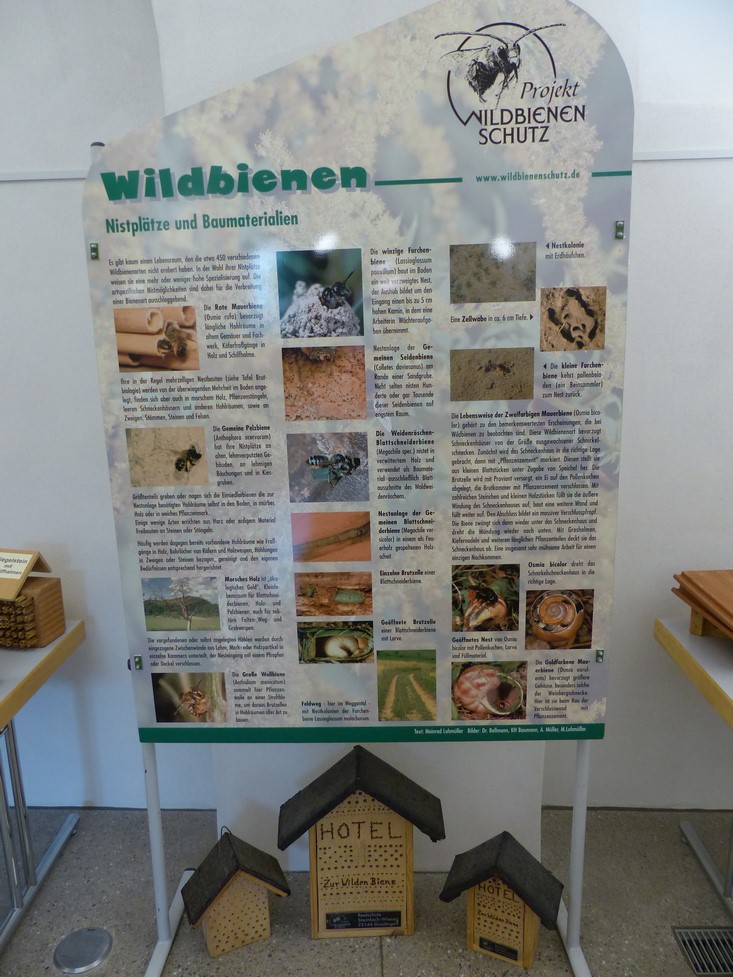 ausstellung-bad-wurzach-2016-305.jpg