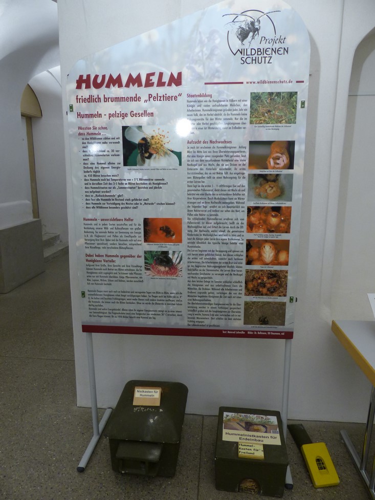 ausstellung-bad-wurzach-2016-308.jpg