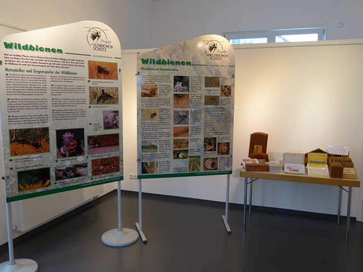 ausstellung-eriskirch-2015-267.jpg