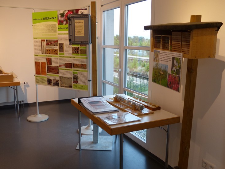 ausstellung-eriskirch-2015-270.jpg