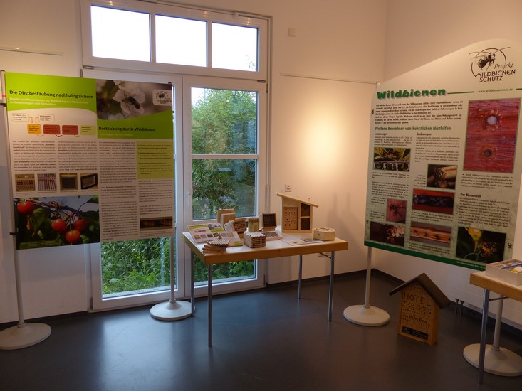 ausstellung-eriskirch-2015-273.jpg