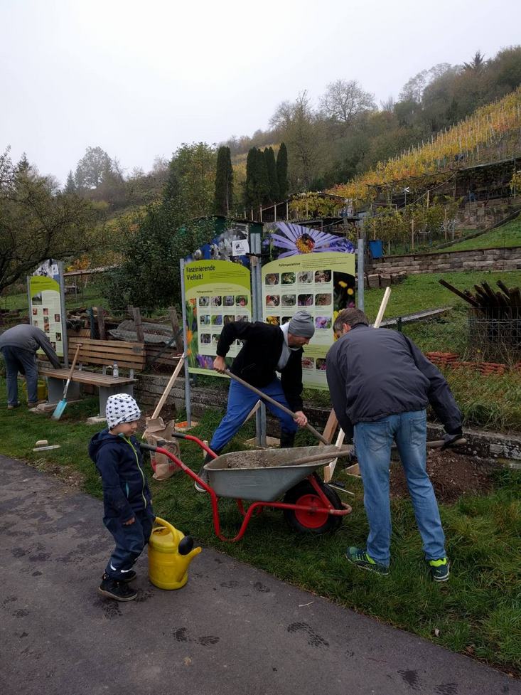 erweiterung-informationspfad-2019-384.jpg