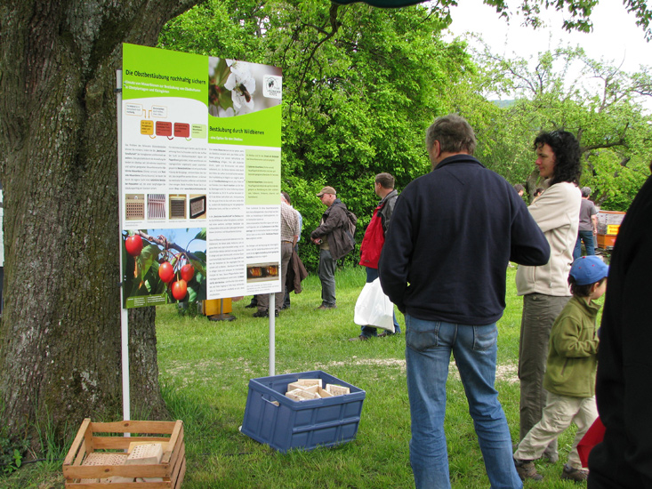 Aktionsnachmittag: Von Honigbienen und Wildbienen