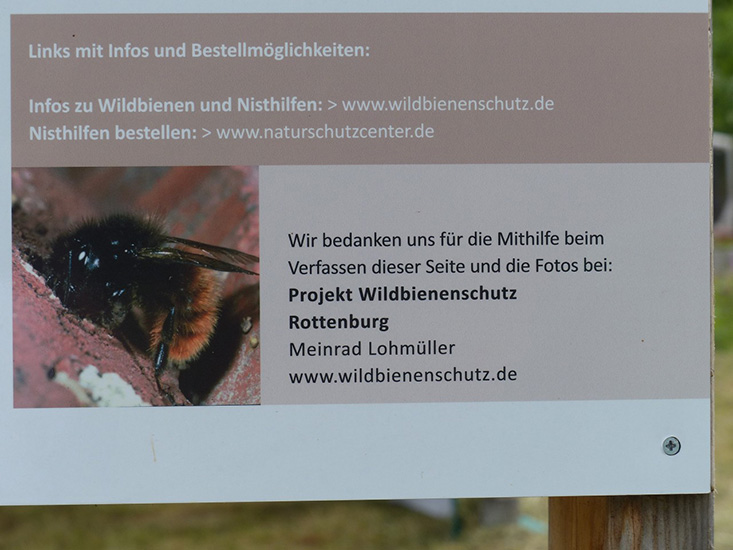 wildbienenhaus-hoefendorf-227.jpg
