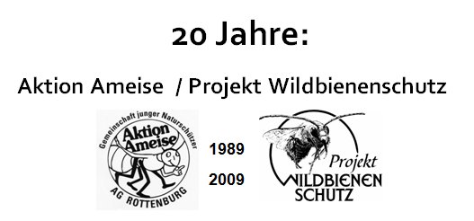 20 Jahre Aktion Ameise / Projekt Wildbienenschutz