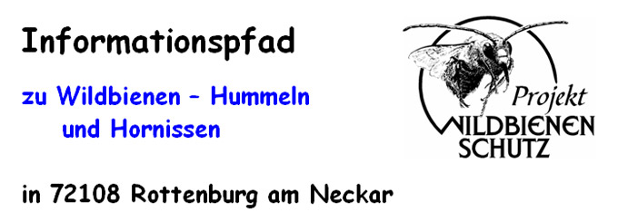 Informationspfad zu Wildbienen, Hummeln und Hornissen