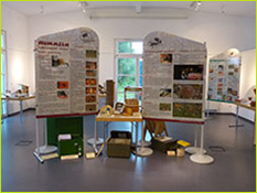 Ausstellung November 2015