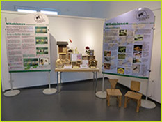 Ausstellung November 2015
