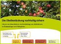 Ausstellung über 'Wildbienen, Hummeln & Hornissen'
