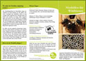 Nisthilfen für Wildbienen