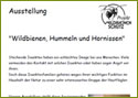 Vortrag für Naturschutzgruppen, Obst- & Gartenbauvereine über 'Wildbienen - und ihre Förderung im Garten'