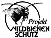 Projekt Wildbienenschutz